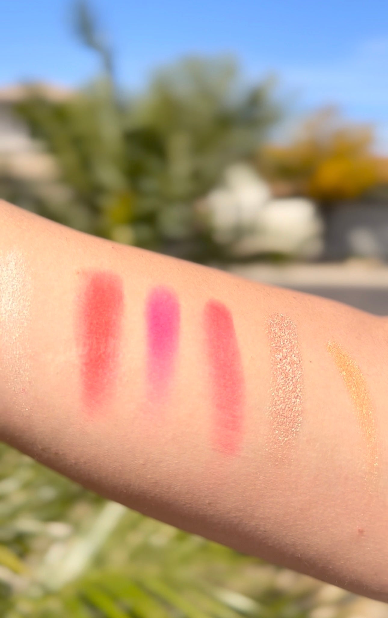 BOSS LADIES BLUSH PALETE