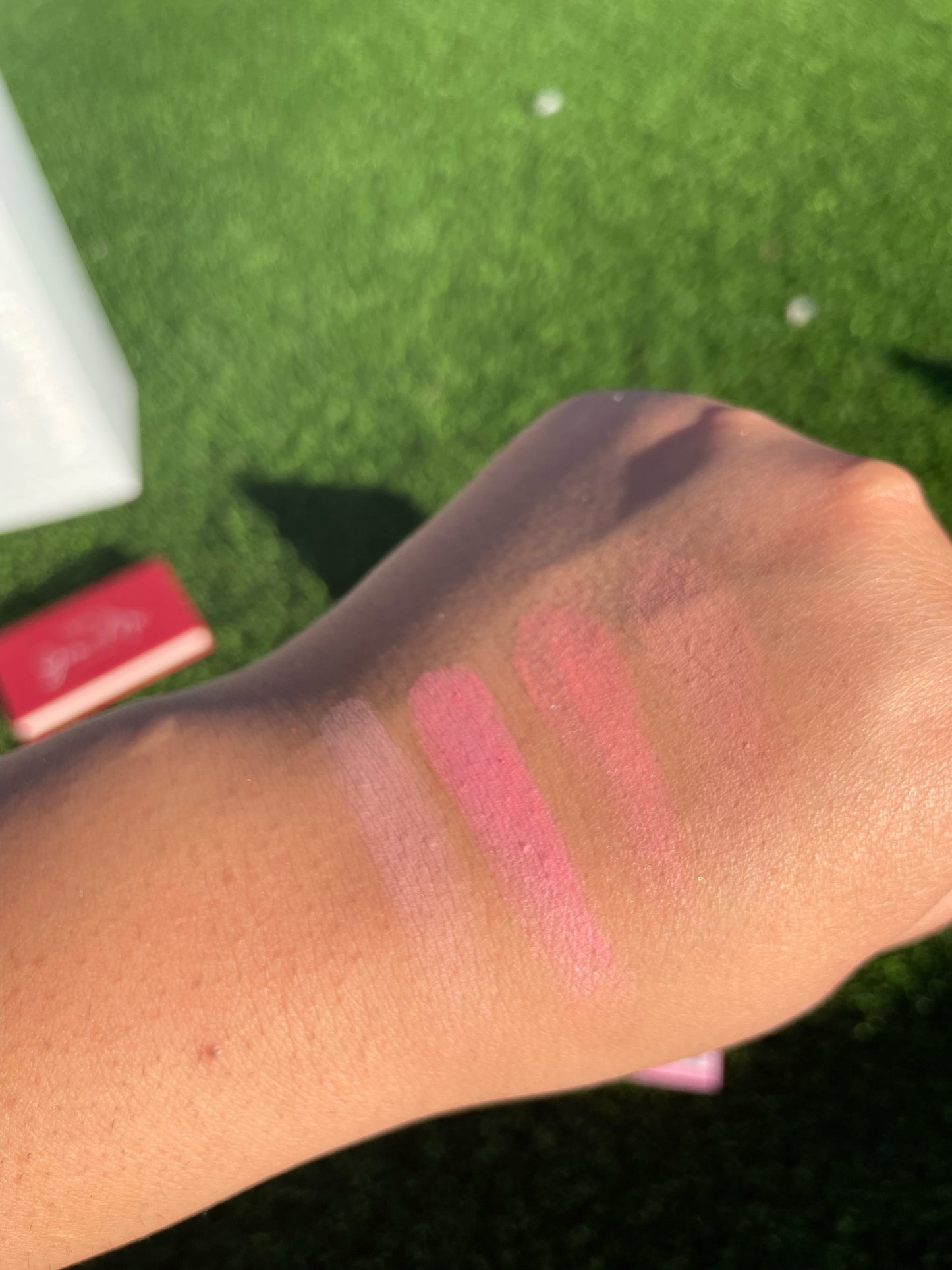 BLUSHING AND CRUSHING BLUSH PALETTE
