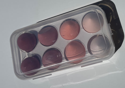 FLAWLESS BEAUTY SPONGE CASE